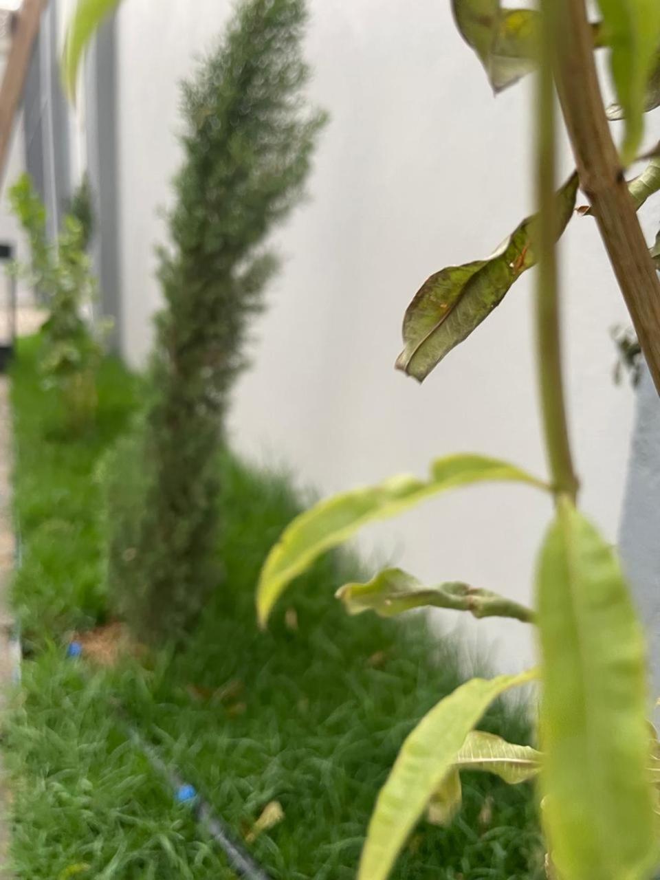 카미스무샤야트 Garden Land 아파트 호텔 외부 사진